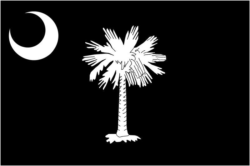 South Carolina Flag Decal