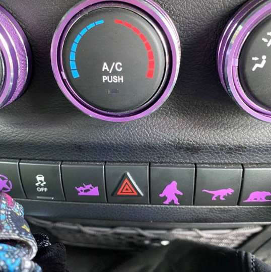 Renegade Easter Eggs Mini Decals for Blank Control Buttons